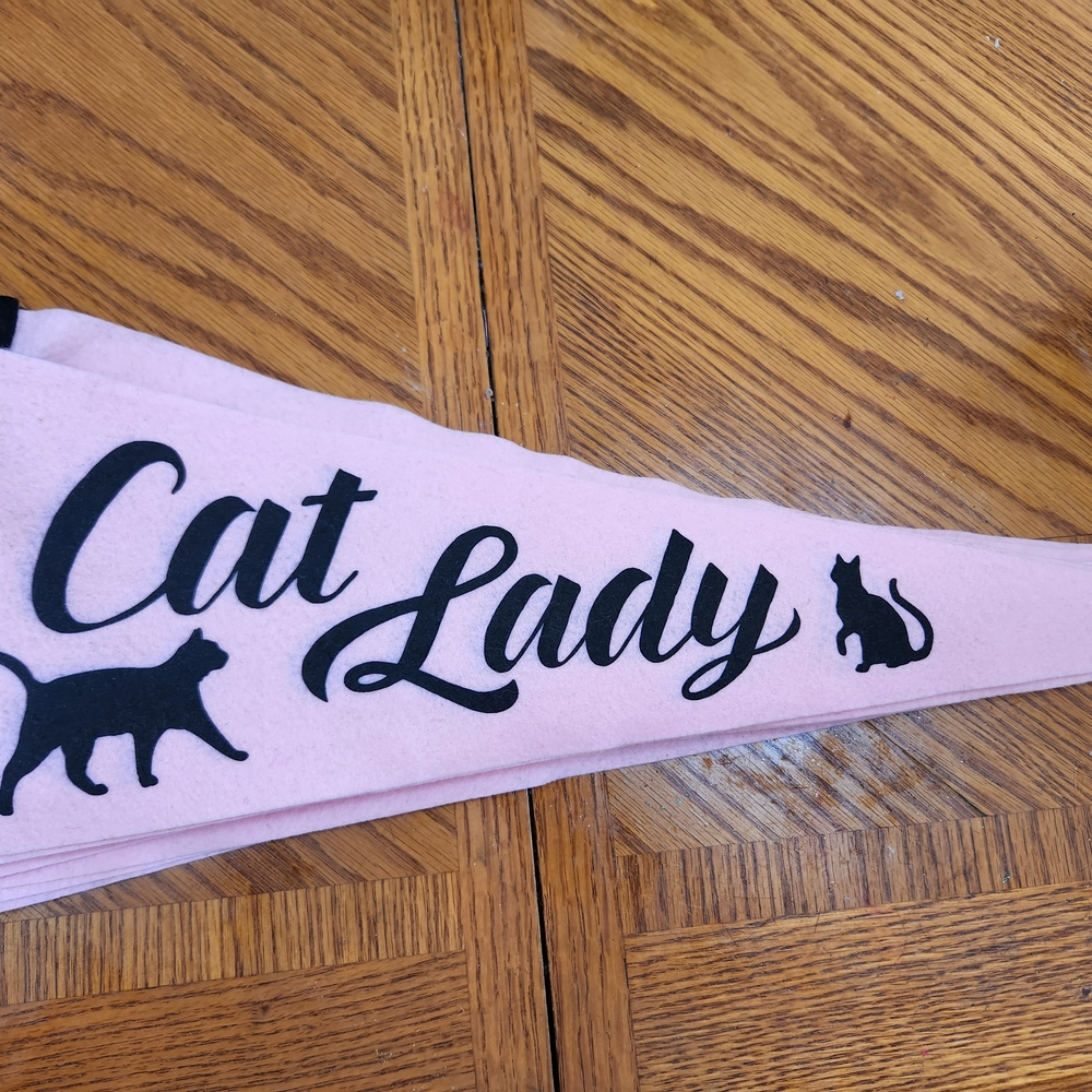 Chic Pink Cat Lady Tapestry